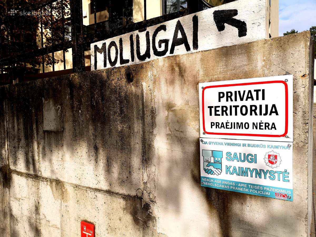 Moliūgai, Bajoruose 24/7! Savitarna vėl veikia! - nuotraukos Nr. 12
