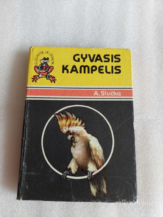 Gyvasis kampelis
