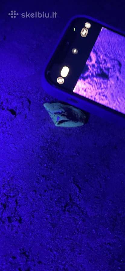 Uv prožektoriai gintarams - nuotraukos Nr. 3