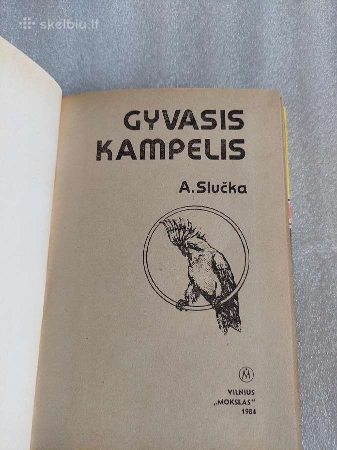 Gyvasis kampelis - nuotraukos Nr. 2