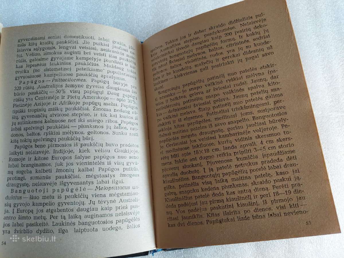 Gyvasis kampelis - nuotraukos Nr. 3