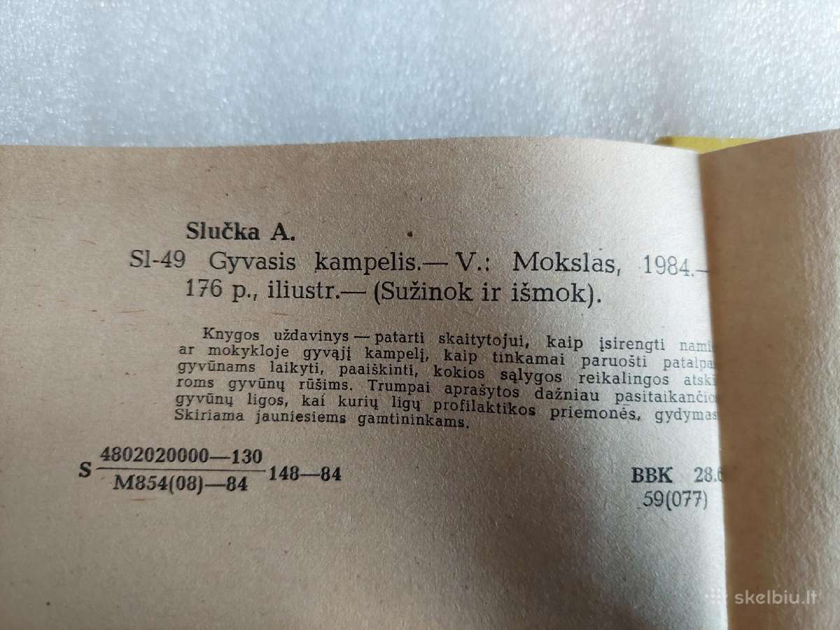 Gyvasis kampelis - nuotraukos Nr. 6