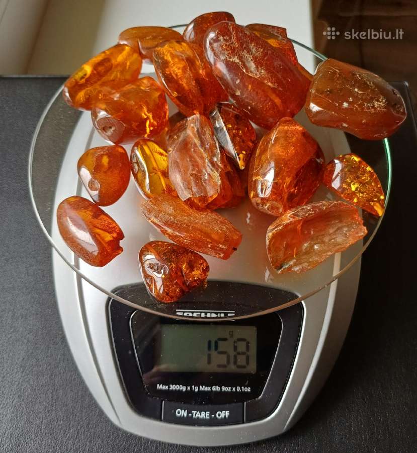 Gintaras 158g.