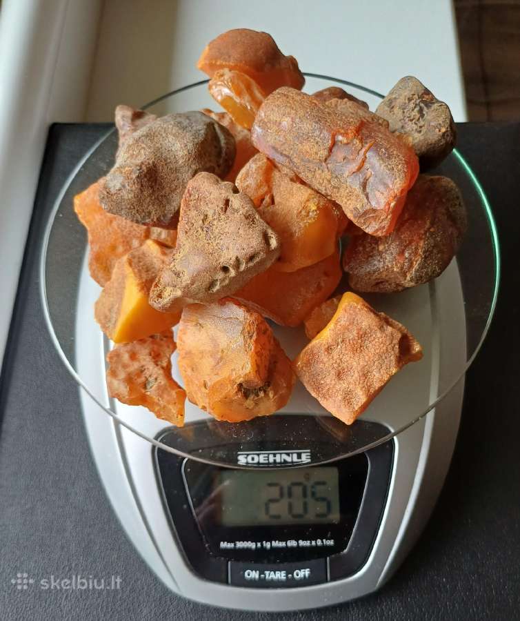 Gintaras 205g.