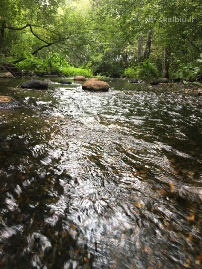Sodyba prie upės! Miškas, žemė – sklypas 6 ha - nuotraukos Nr. 4