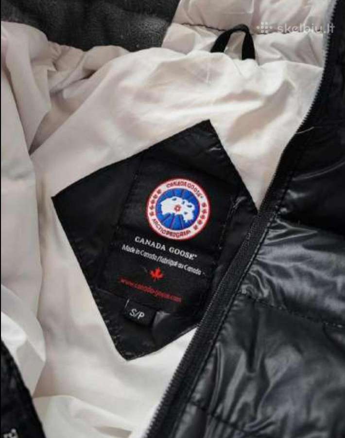 Canada goose striuke S dydis - nuotraukos Nr. 4