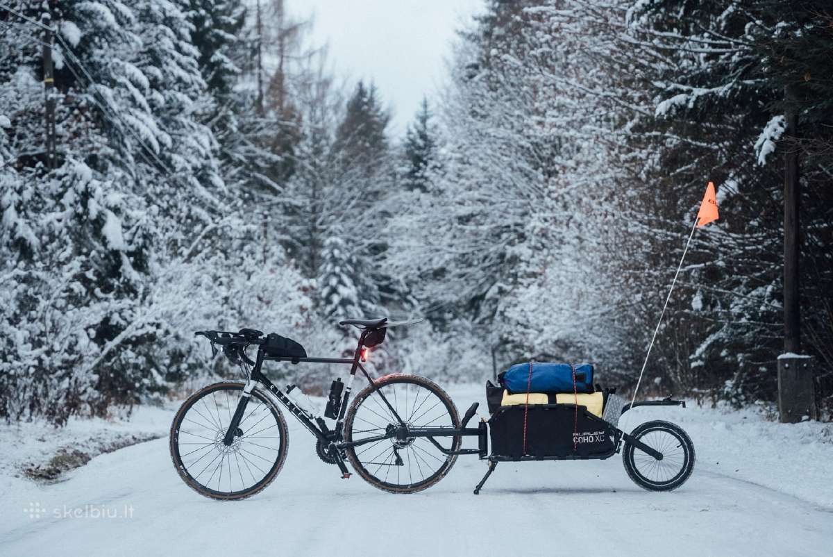 Ribble Endurance 725 56cm - nuotraukos Nr. 2