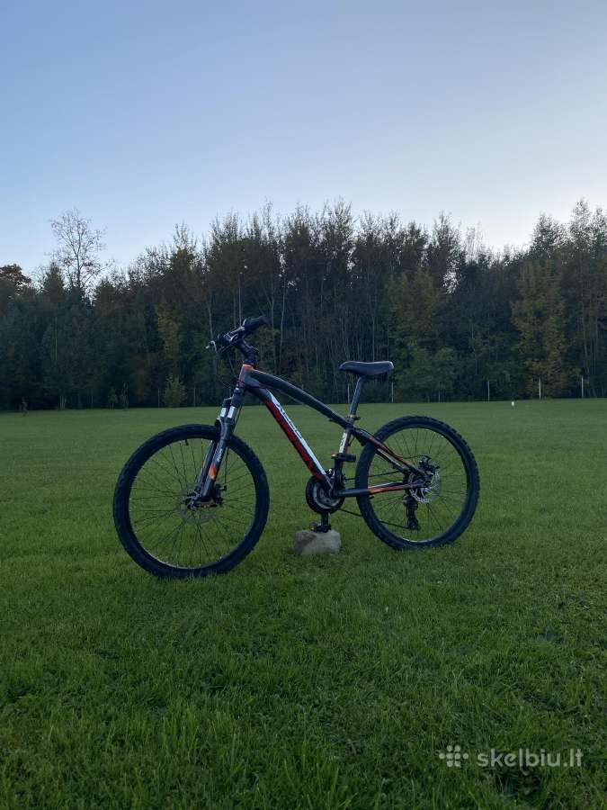 Xeed kalnų dviratis