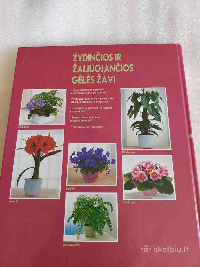 Gėlių knyga - nuotraukos Nr. 7