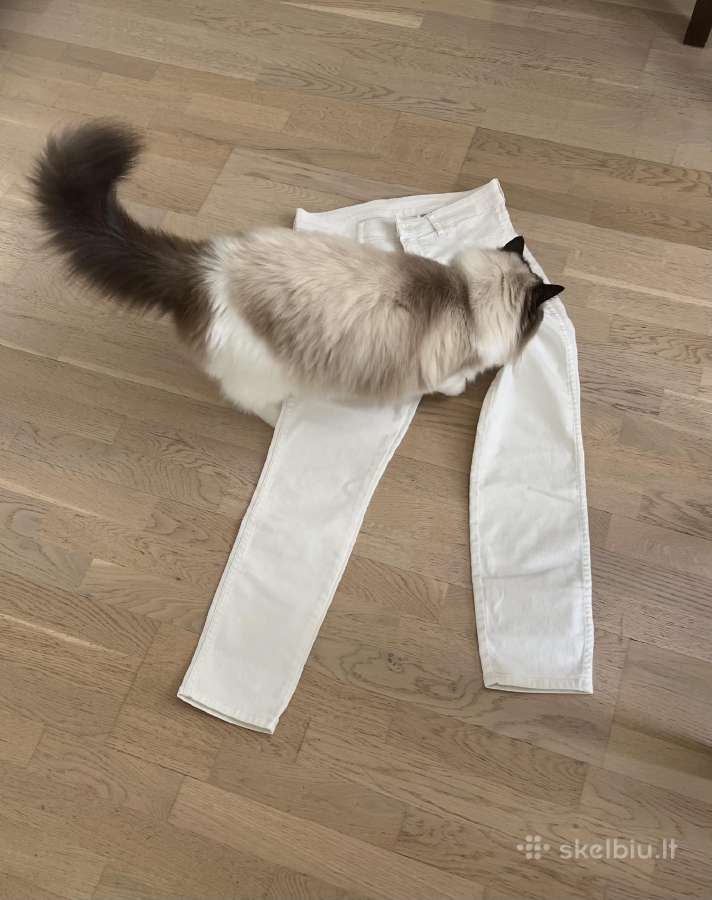 Baltos H&m džinsinės kelnės - nuotraukos Nr. 7