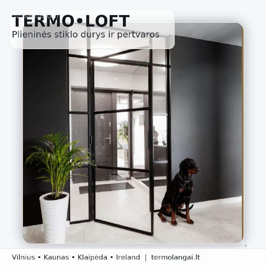 Metalo stiklo durys Loft