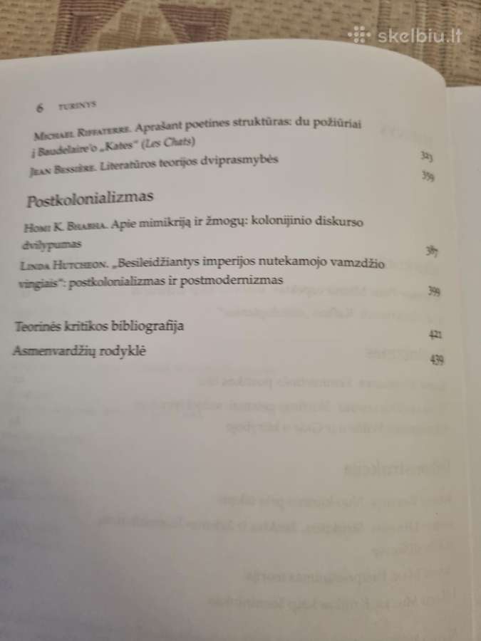 20 amžiaus literatūros teorijos - nuotraukos Nr. 4
