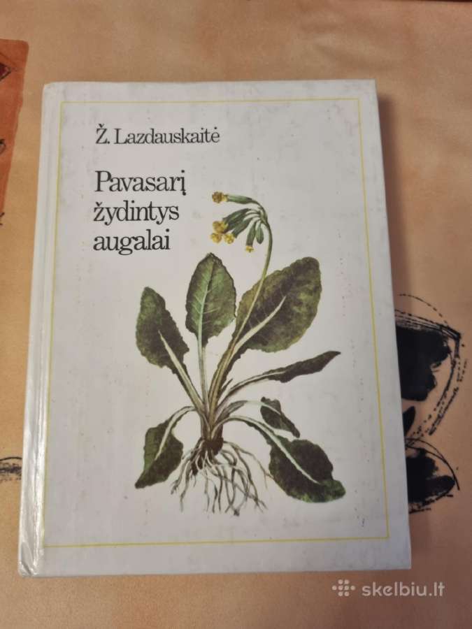 Pavasarį žydintys augalai