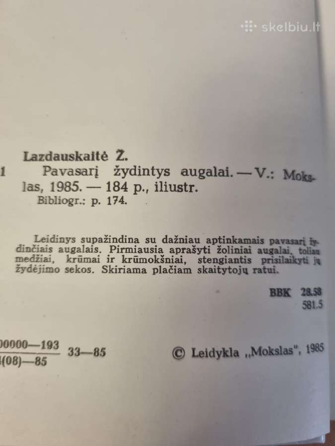 Pavasarį žydintys augalai - nuotraukos Nr. 4