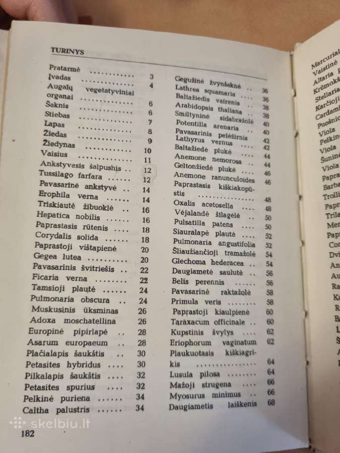 Pavasarį žydintys augalai - nuotraukos Nr. 7