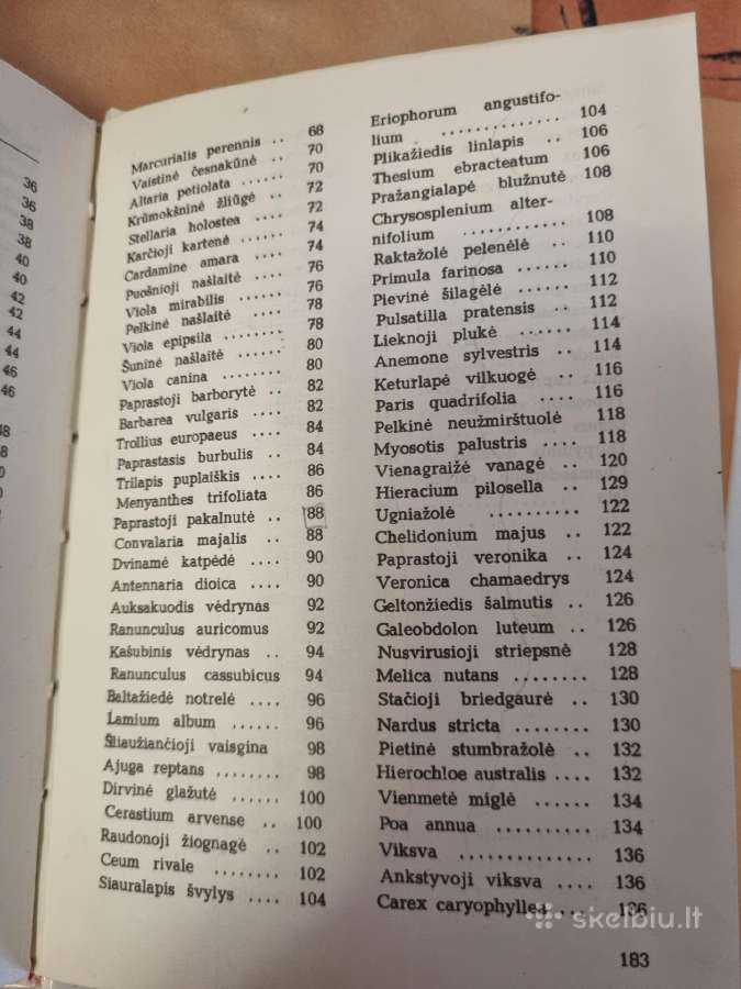 Pavasarį žydintys augalai - nuotraukos Nr. 8