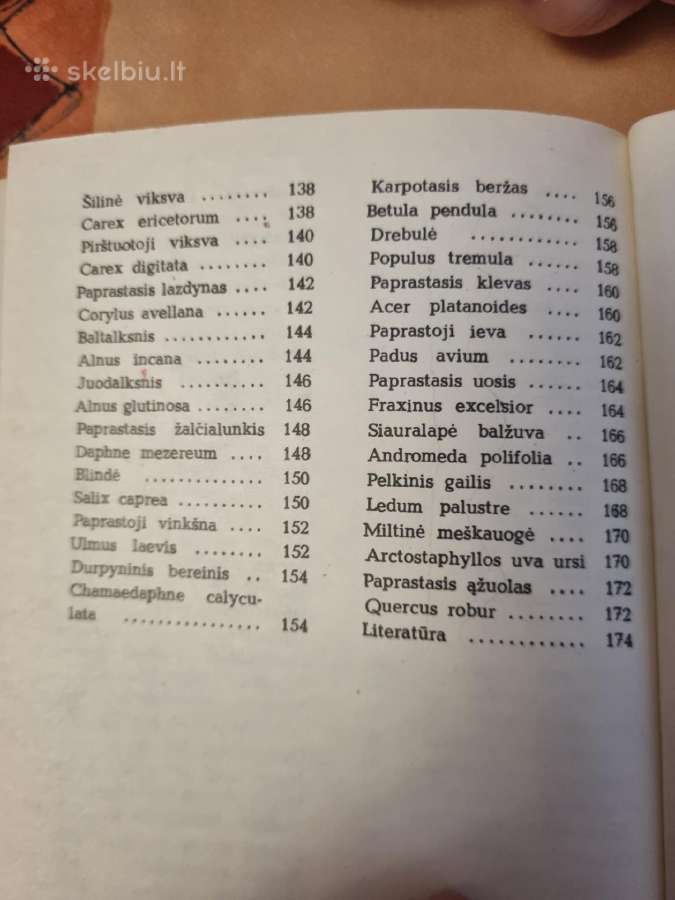 Pavasarį žydintys augalai - nuotraukos Nr. 9