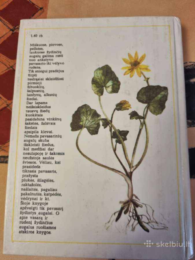 Pavasarį žydintys augalai - nuotraukos Nr. 10