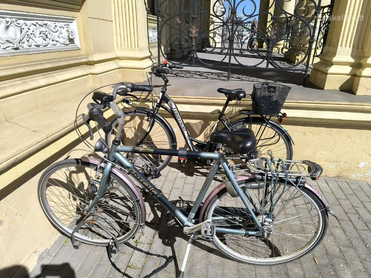 Dviratis Italiskas ir olandiskas po 150 Eur