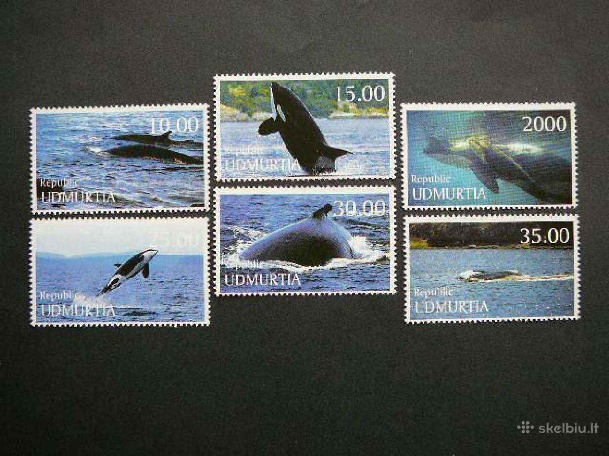 Banginiai Udmurtija(r) 2001 Mnh udm51