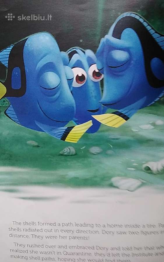 Disney-pixar – Žuviukas Dorė - nuotraukos Nr. 3