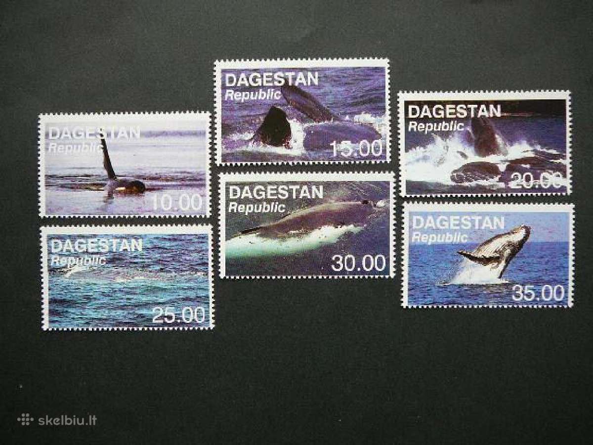 Banginiai Dagestanas(r) 2000 Mnh dgs74