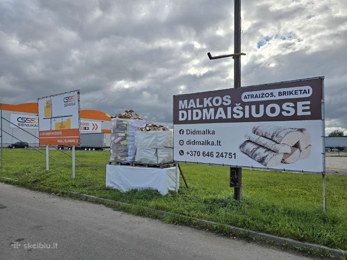 Malkos beržinės palaidos - nuotraukos Nr. 6
