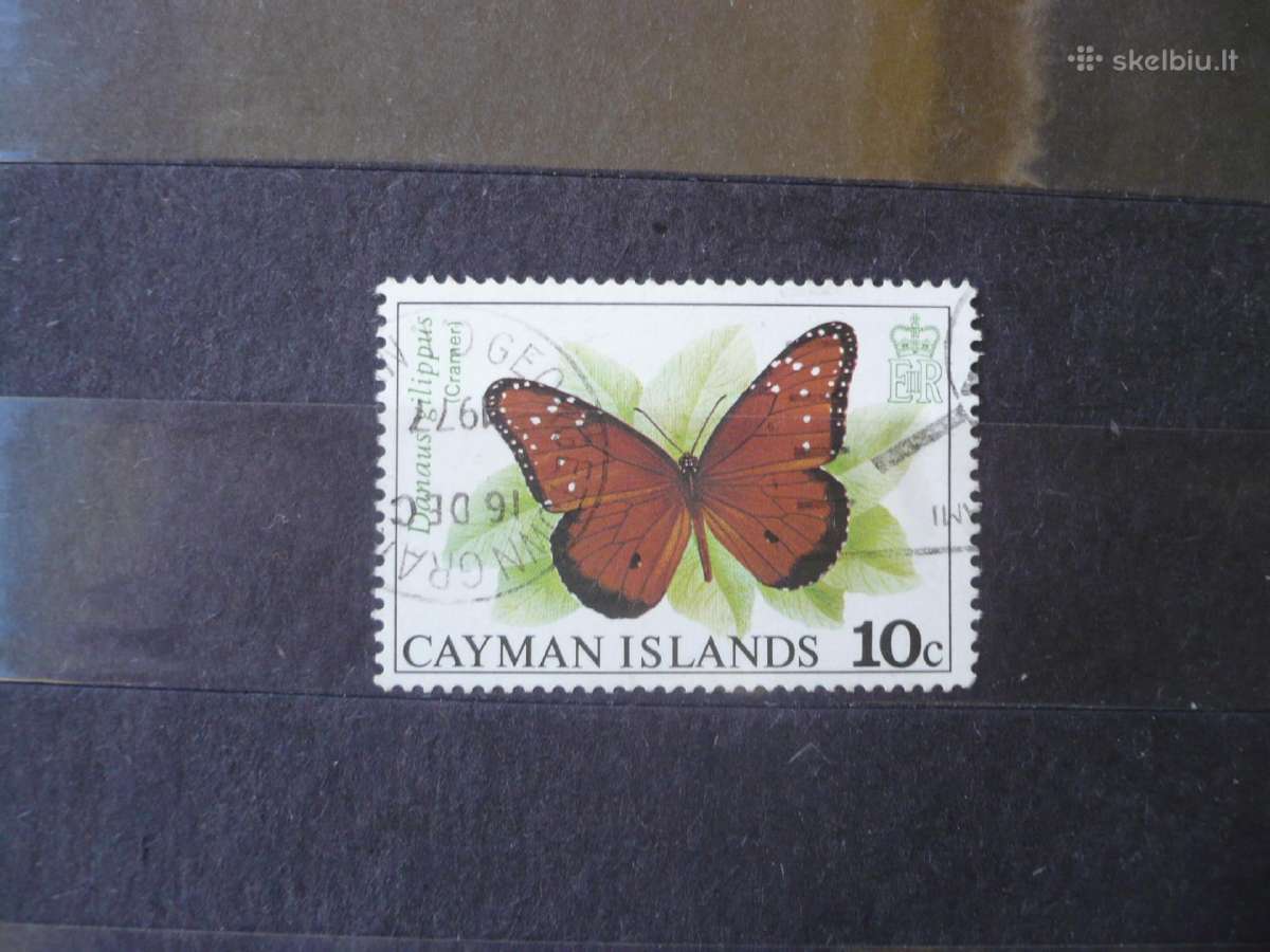 1977 m. Drugeliai