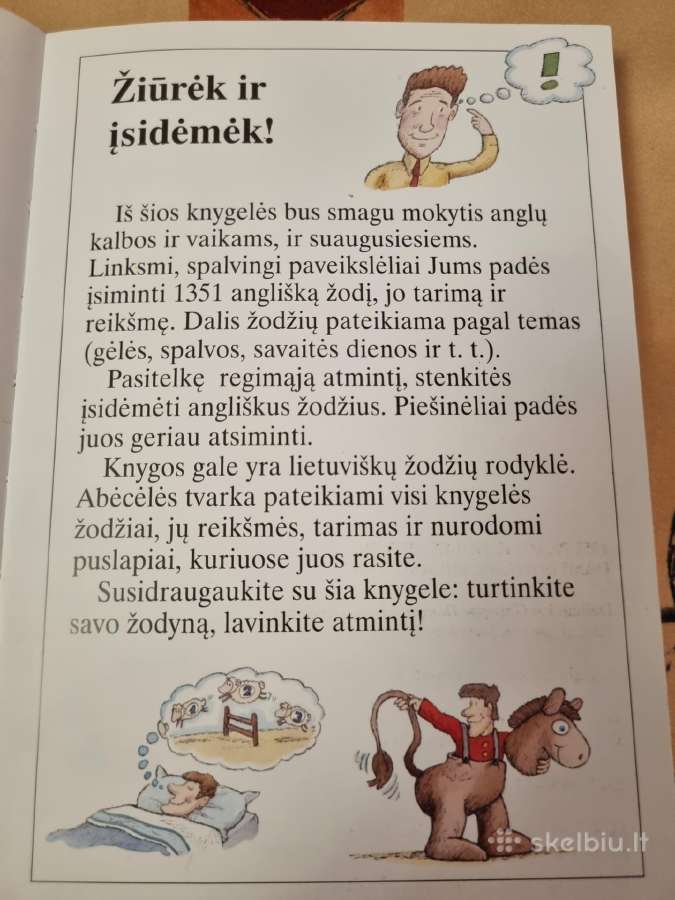 1351 Angliškas žodis ir mažiems , ir dideliems - nuotraukos Nr. 3