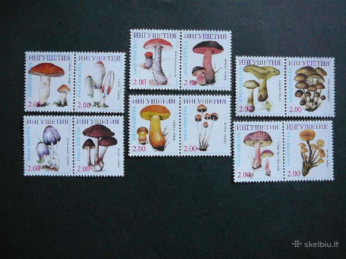 Grybai Ingusija (R) 2000 svarus ing293
