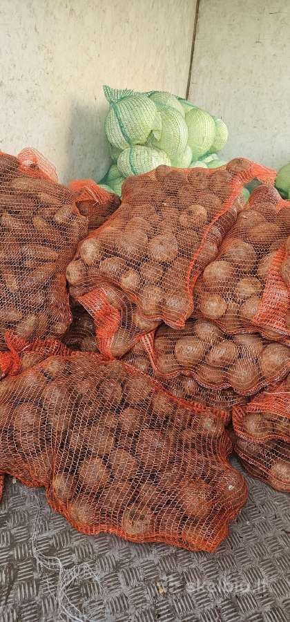 Skanios bulvės ir kitos daržovės - nuotraukos Nr. 8