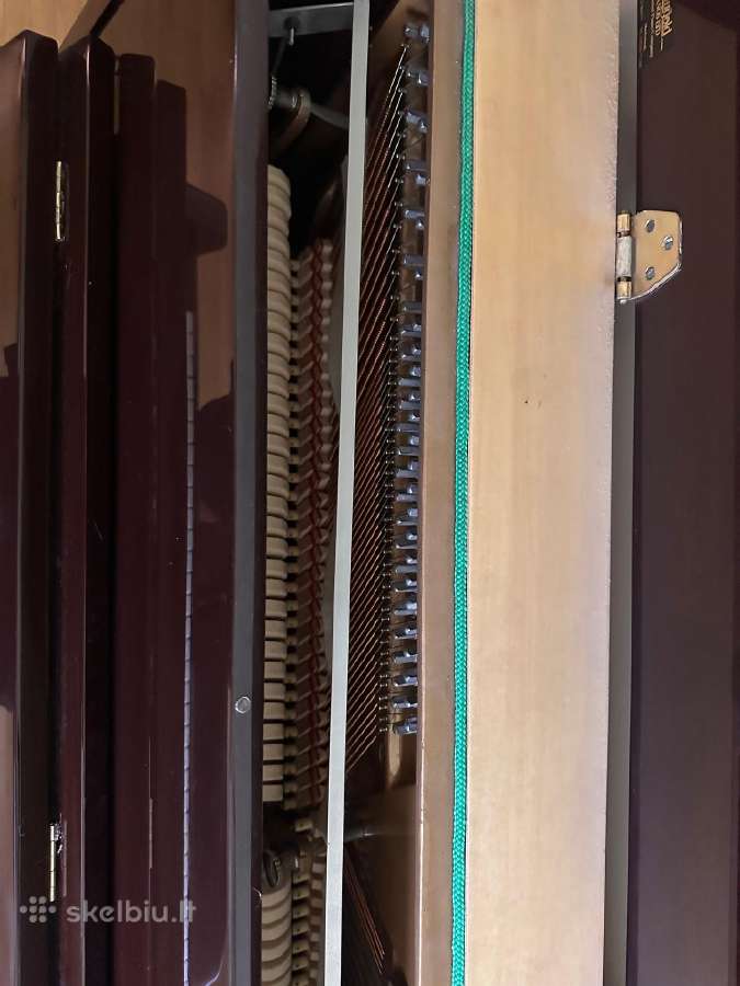 Pianinas Waldstein - nuotraukos Nr. 4