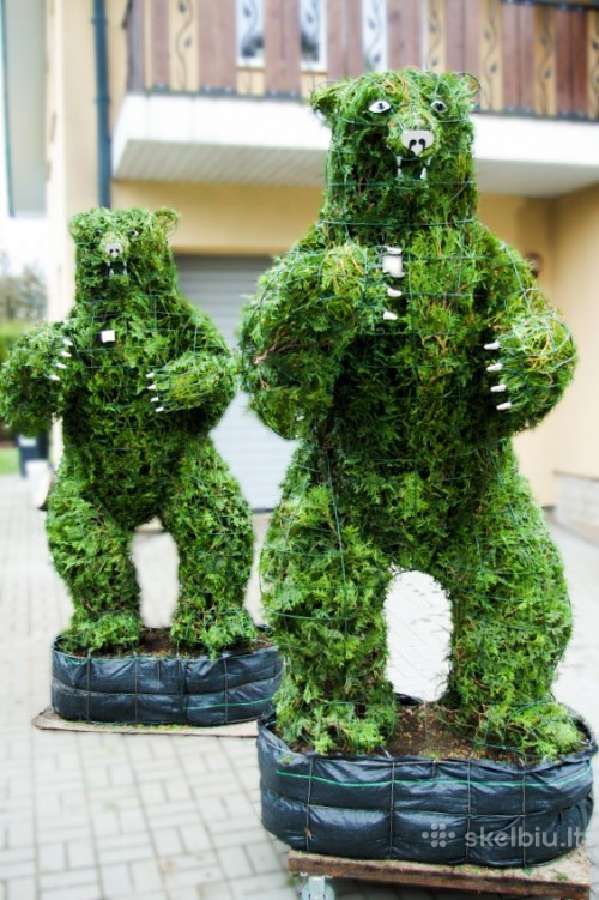 Augalų Skulptūros (Topiary), rėmai - nuotraukos Nr. 7