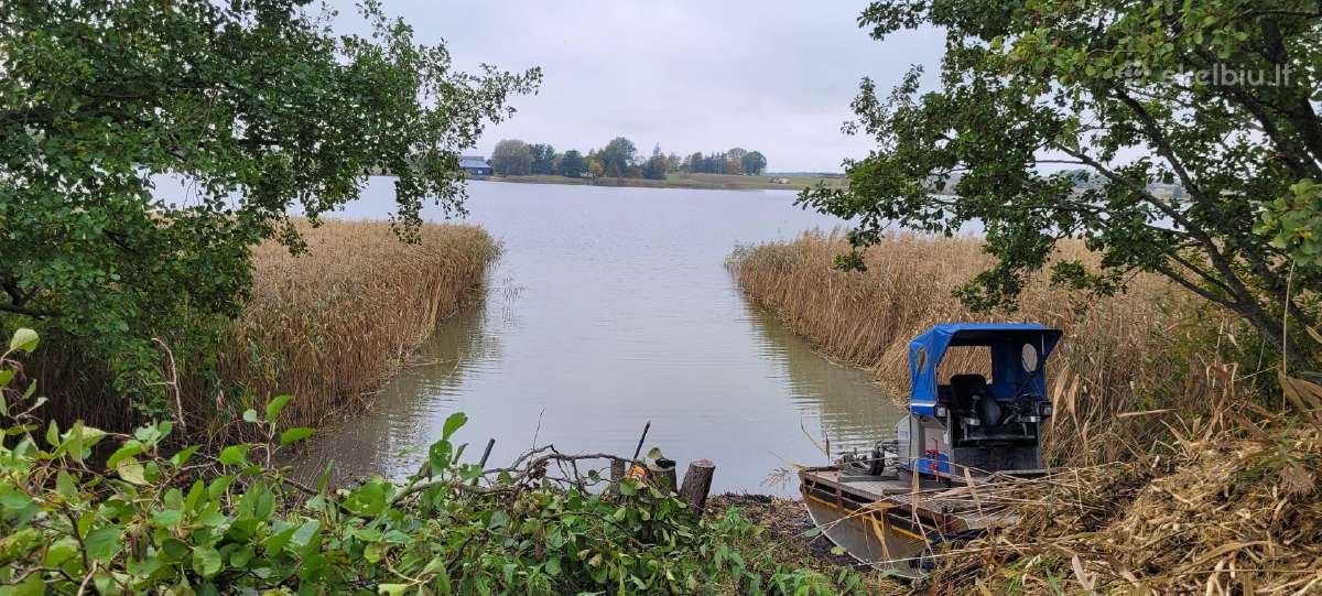 Pakrančių tvarkymas,nendrių pjovimas,šaknų rovimas - nuotraukos Nr. 13