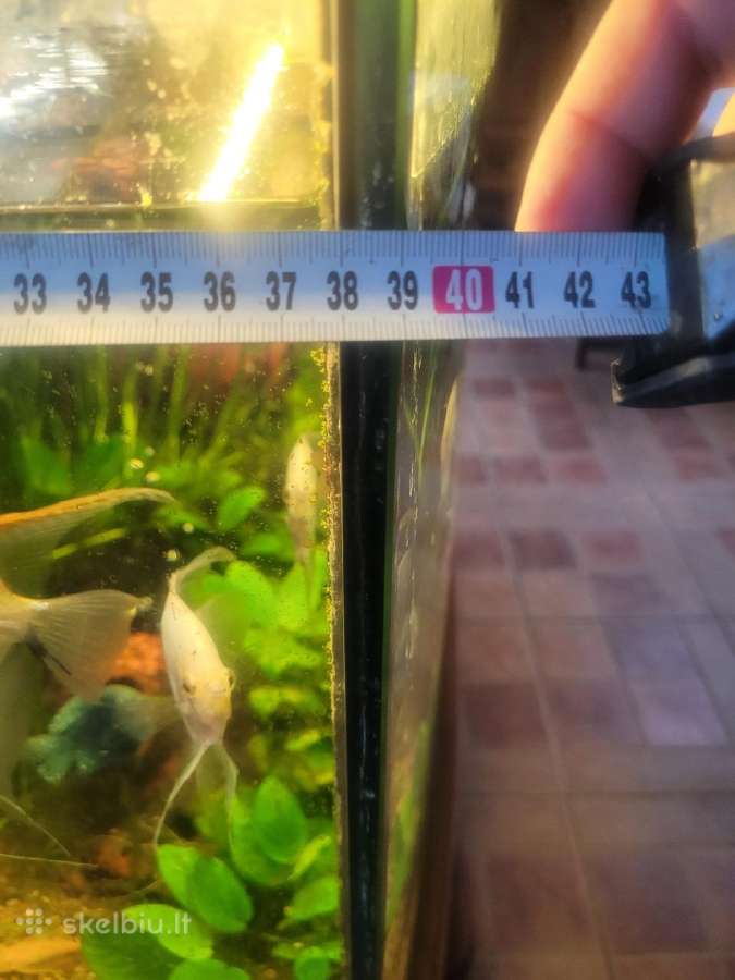 Akvariumas 450litru su visa įranga ir žuvytėmis - nuotraukos Nr. 7