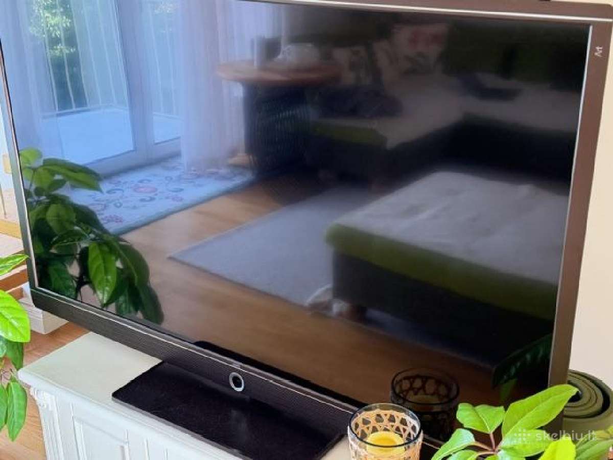 Loewe art 65