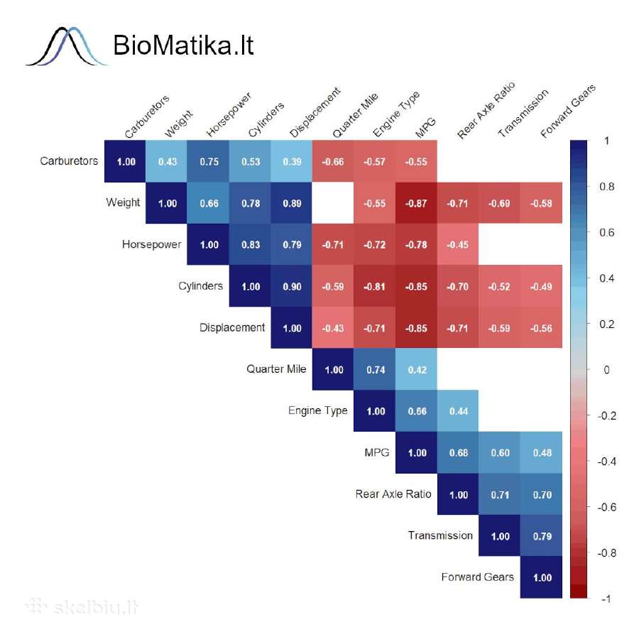 Statistika, hipotezių tikrinimas, mokymai - nuotraukos Nr. 5
