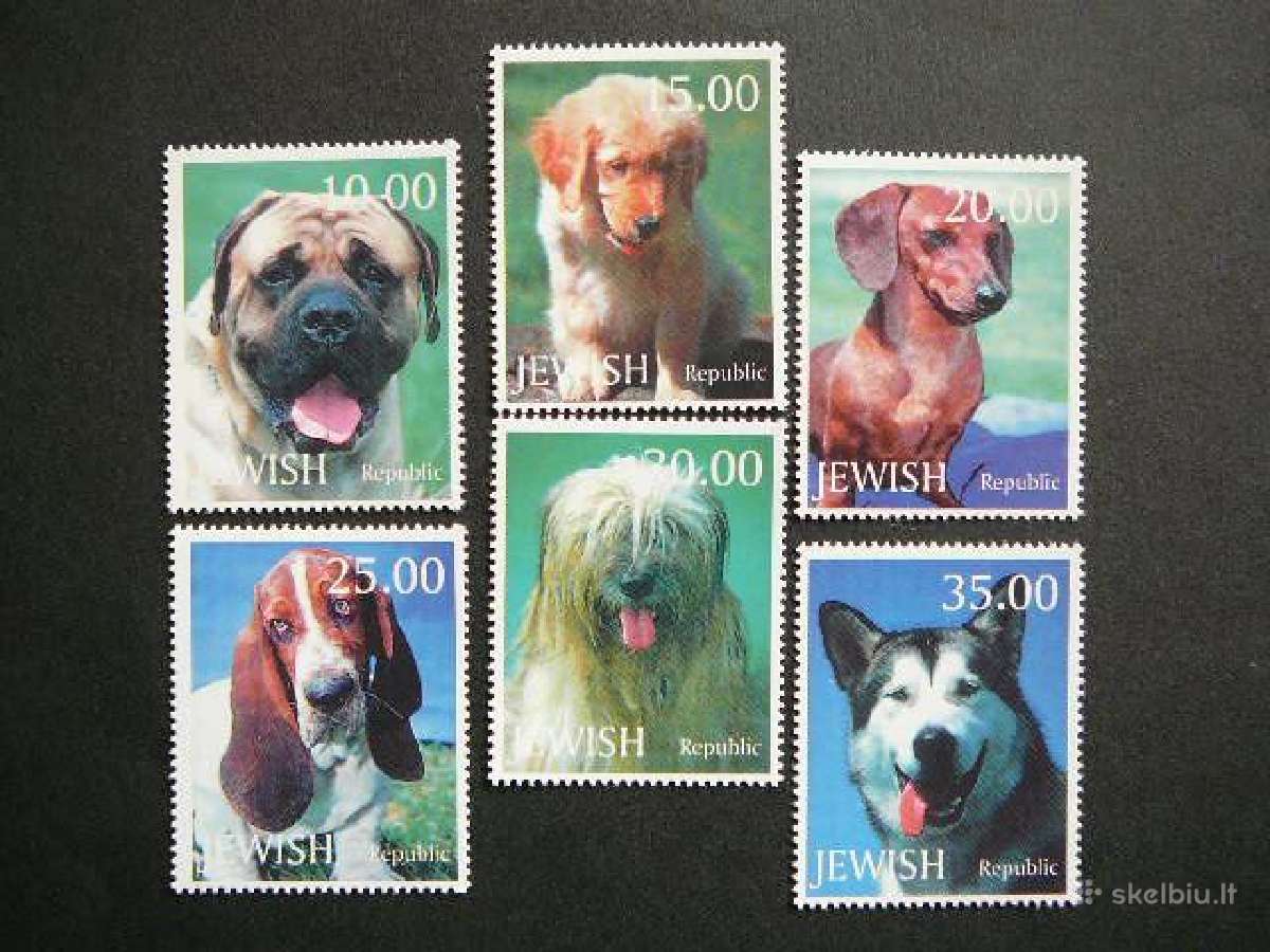 Sunys Jewish (R) 1999 svarus Jwh56