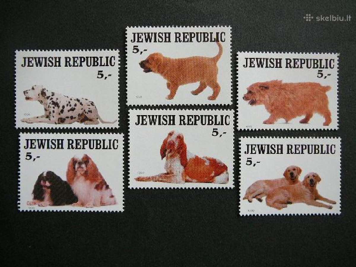 Sunys Jewish (R) 1999 svarus Jwh55