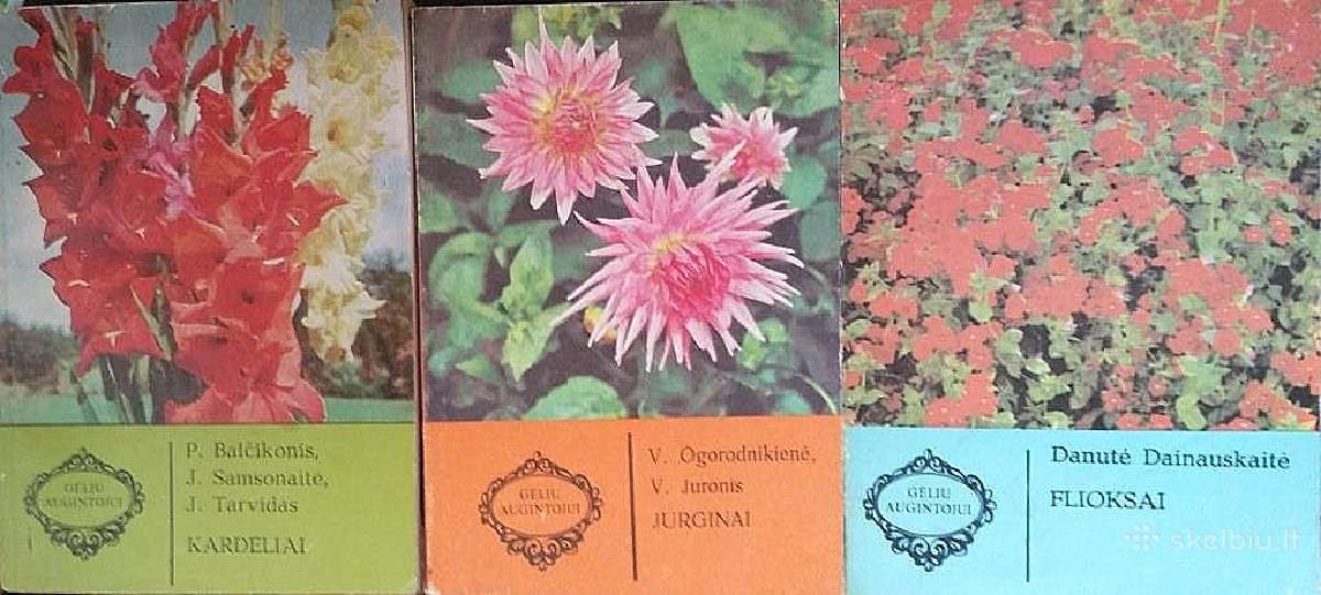 Flora - nuotraukos Nr. 5
