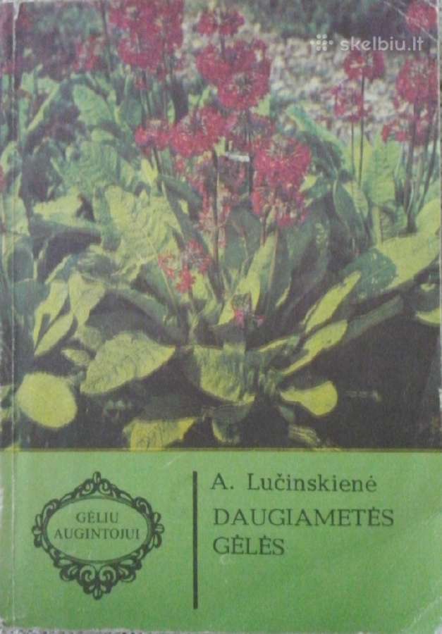 Flora - nuotraukos Nr. 7