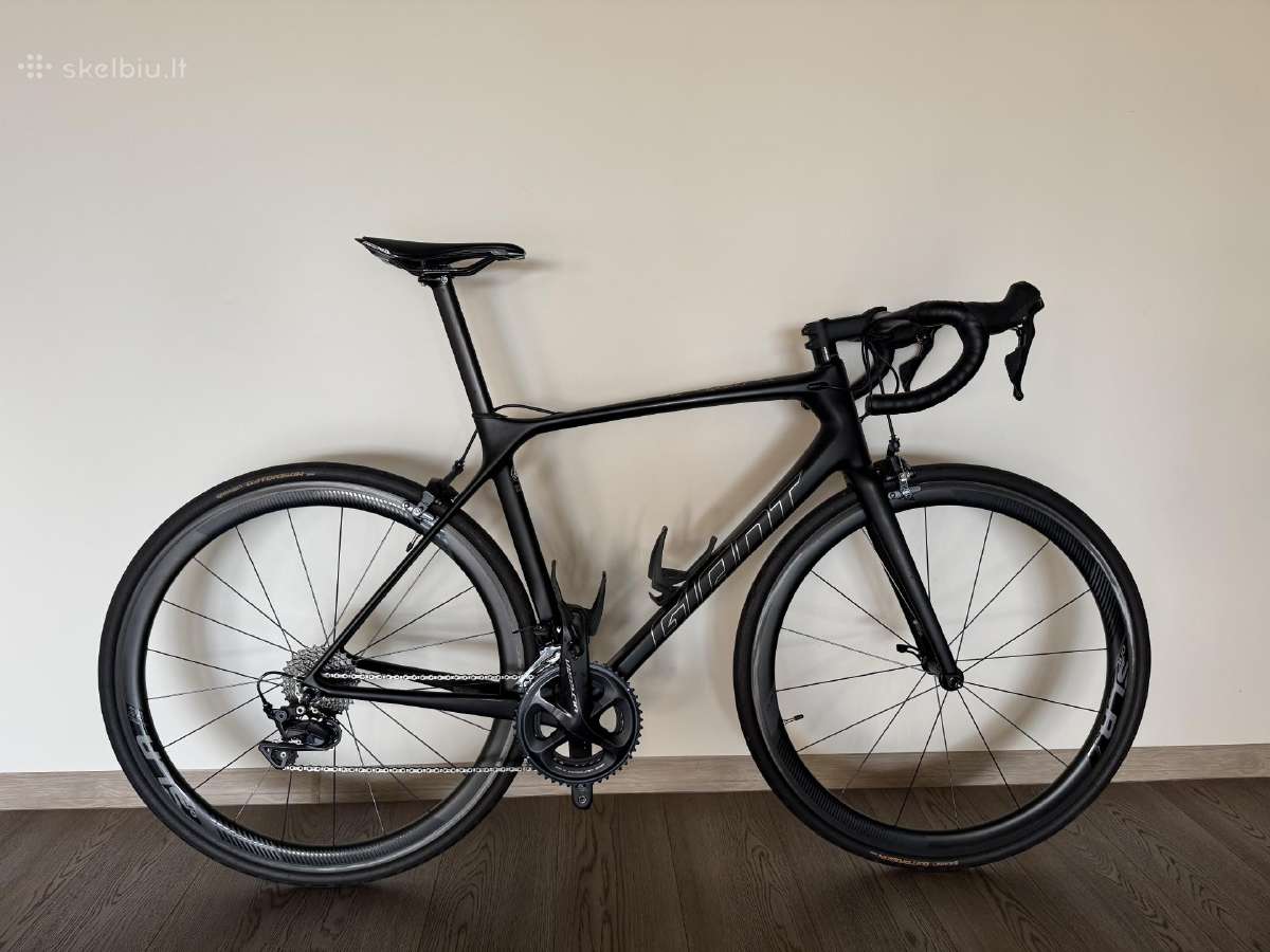 Plento Dviratis Giant Tcr advanced pro 1 Ml dydis