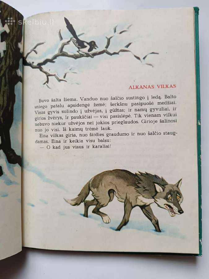 Lapės gyvenimas ir mirtis. V. Pietaris - nuotraukos Nr. 3