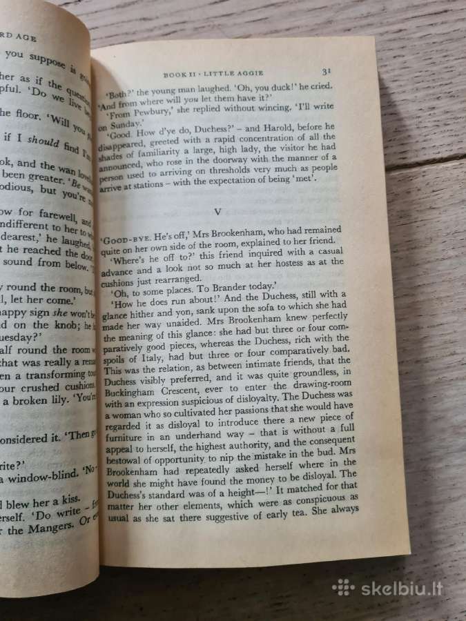The Awkward Age (Henry James, anglų k.) - nuotraukos Nr. 6