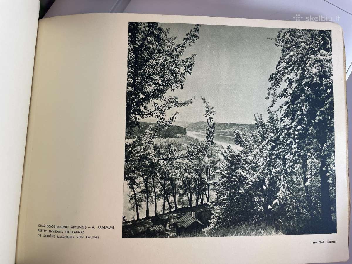 1939 metų Kauno albumas, išleido Gediminas Orentas - nuotraukos Nr. 26
