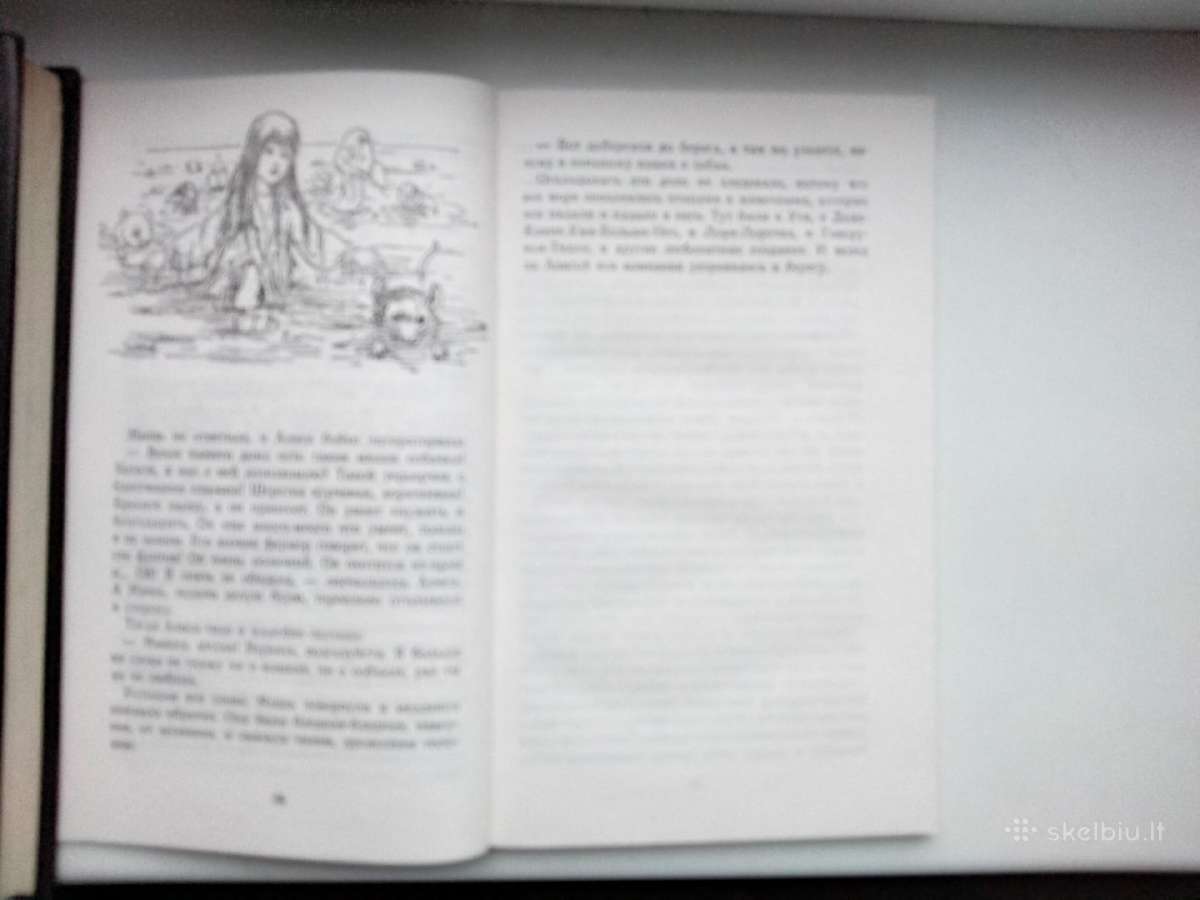 L. Keroll. Alisa v strane čudes - nuotraukos Nr. 9
