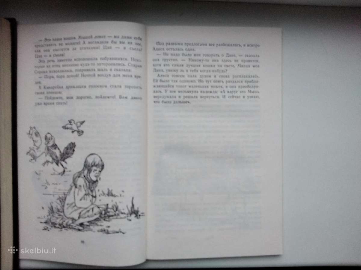 L. Keroll. Alisa v strane čudes - nuotraukos Nr. 10