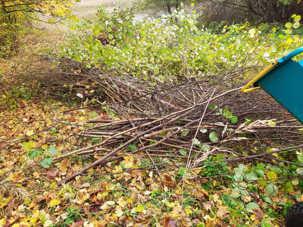 Kelmų frezavimas, naikinimas. Šakų smulkintuvas - nuotraukos Nr. 14