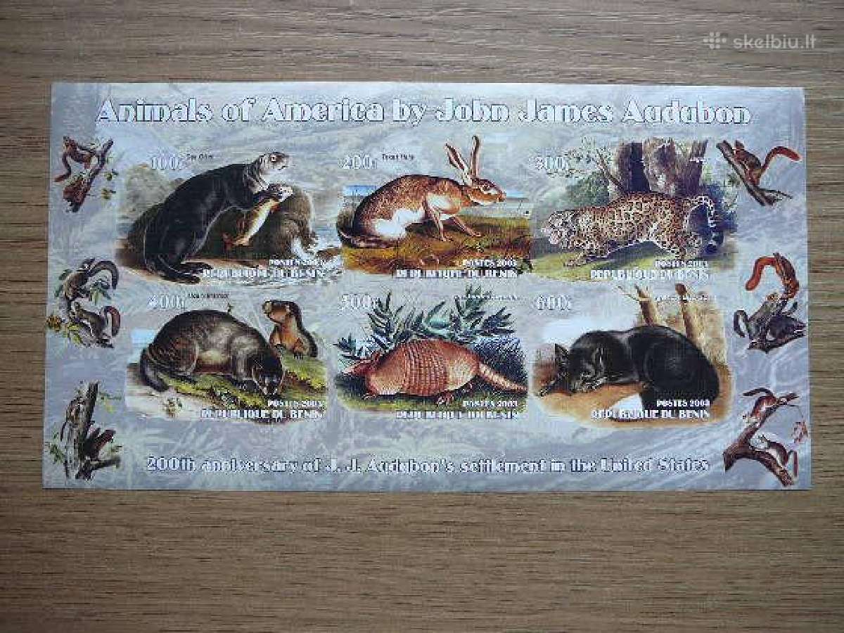 Kates laukines Kiskis Audubon Mnh bn405