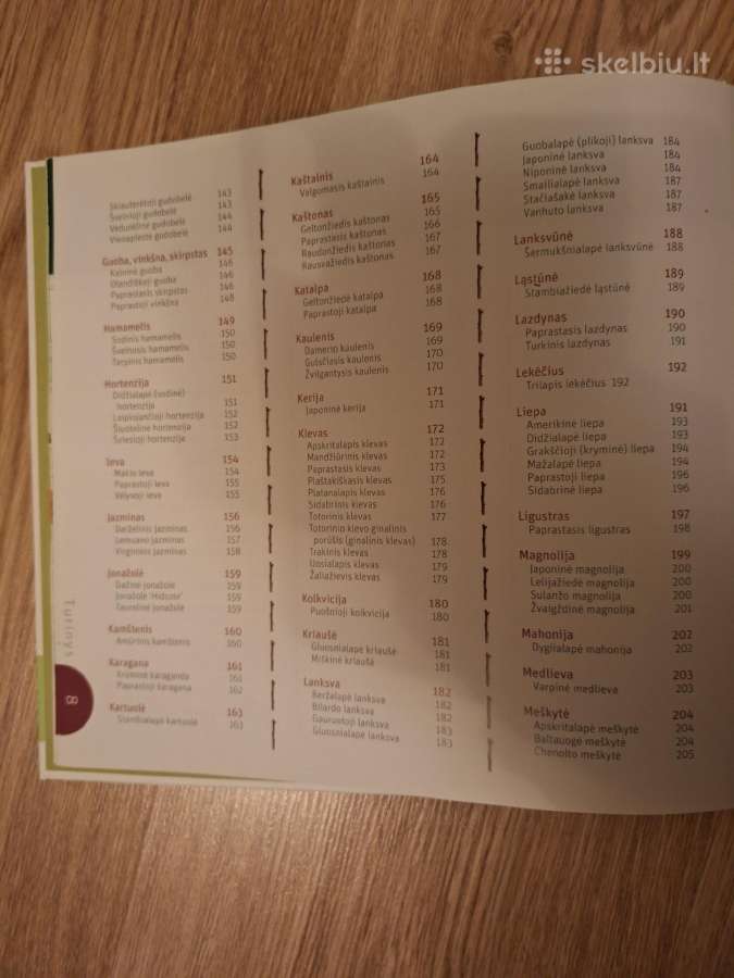 Medžiai ir krūmai aplinkai puošti. - nuotraukos Nr. 4